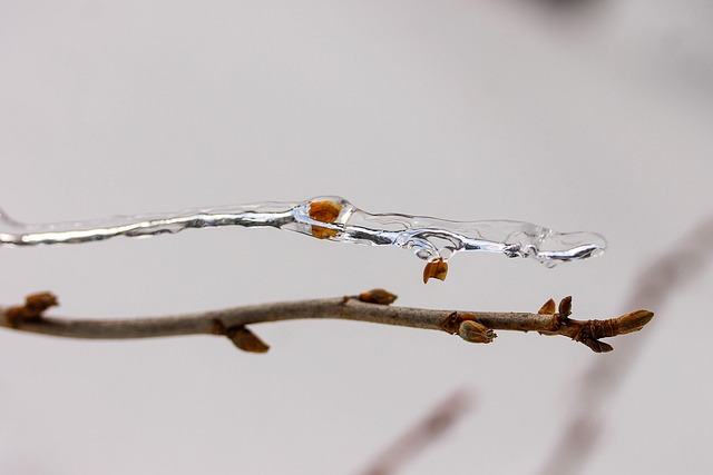 thin ice