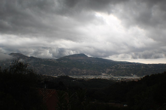 Hình ảnh minh họa ý nghĩa của từ thinning