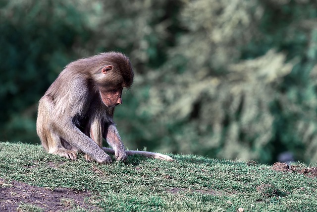 thoughtful behavior
