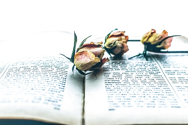 Hình ảnh minh họa ý nghĩa của từ threesome