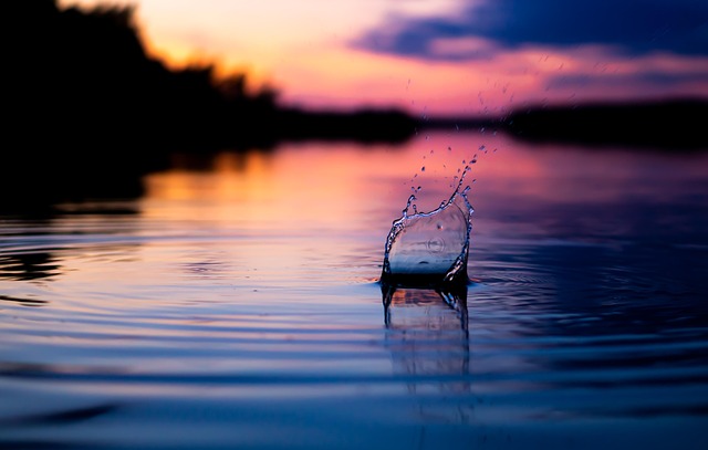 Hình ảnh minh họa ý nghĩa của từ throw oneself