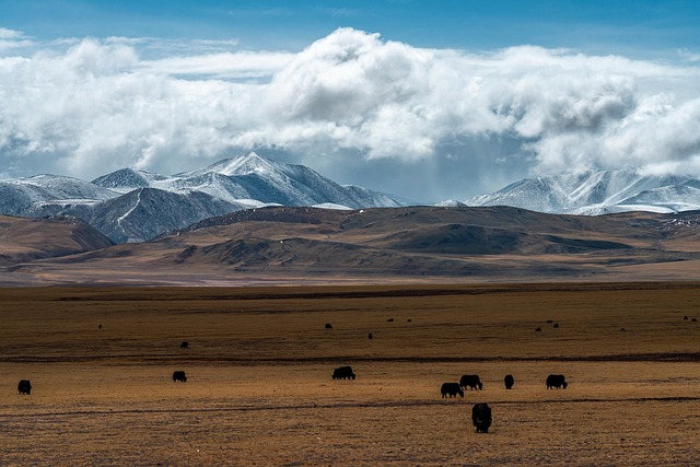 tibet