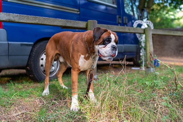 Hình ảnh minh họa ý nghĩa của từ tier