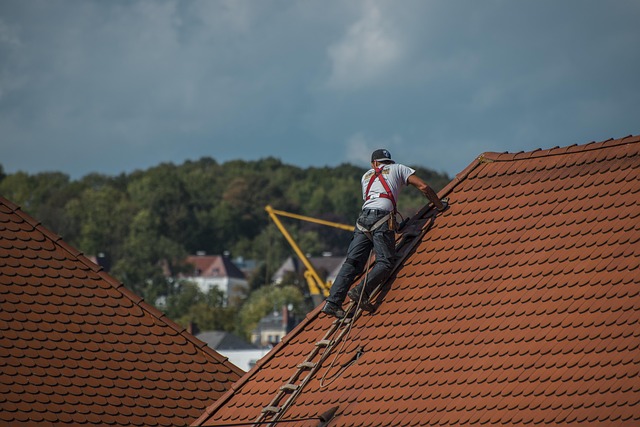 Hình ảnh minh họa ý nghĩa của từ tile roofing