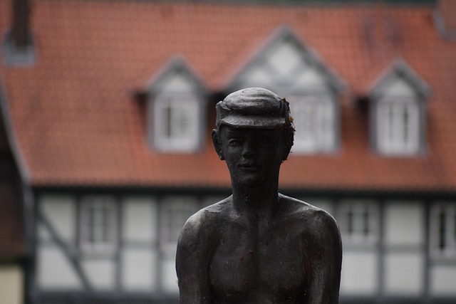 Hình ảnh minh họa ý nghĩa của từ timber