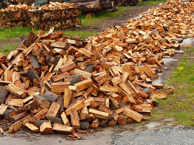 timber industry