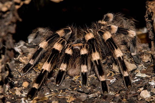 Hình ảnh minh họa ý nghĩa của từ tingling