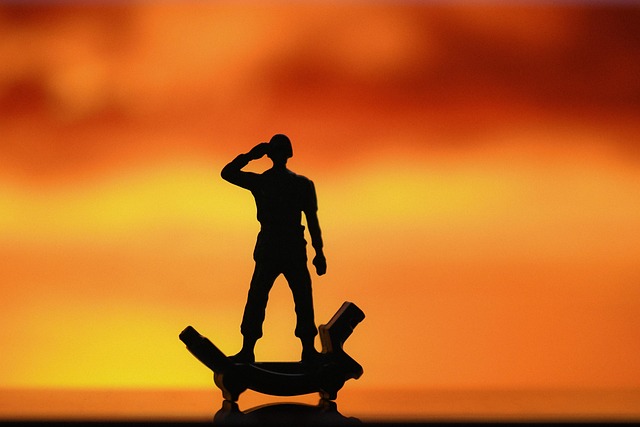 Hình ảnh minh họa ý nghĩa của từ to salute