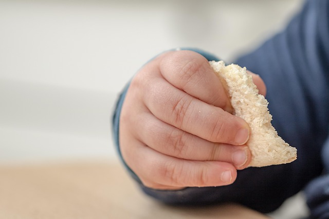 toddler food