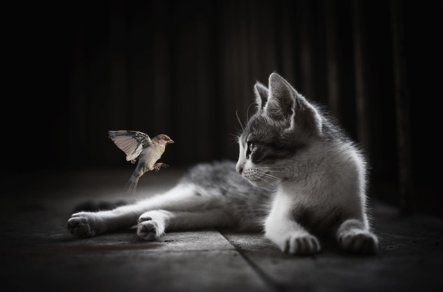 Hình ảnh minh họa ý nghĩa của từ tolerate