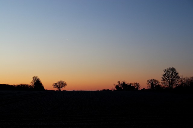 Hình ảnh minh họa ý nghĩa của từ tone down