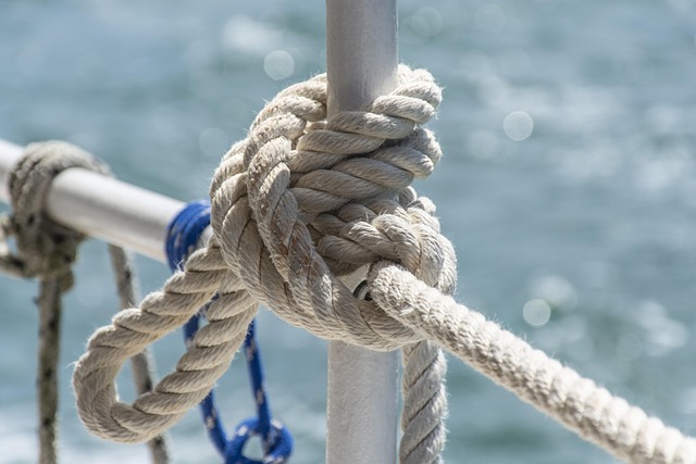 Hình ảnh minh họa ý nghĩa của từ top-roping