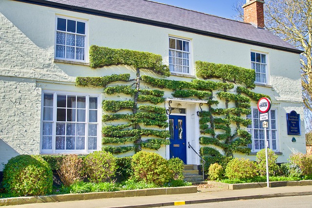 Hình ảnh minh họa ý nghĩa của từ topiary