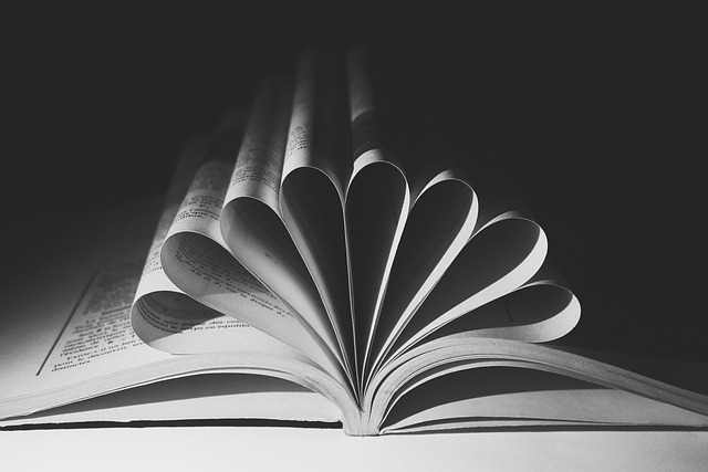 Hình ảnh minh họa ý nghĩa của từ torsion