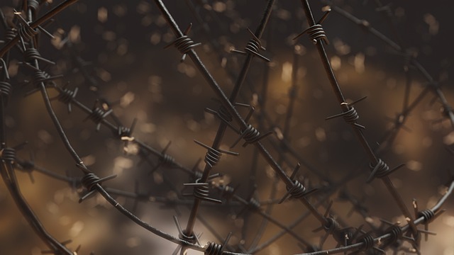 Hình ảnh minh họa ý nghĩa của từ totalitarianism