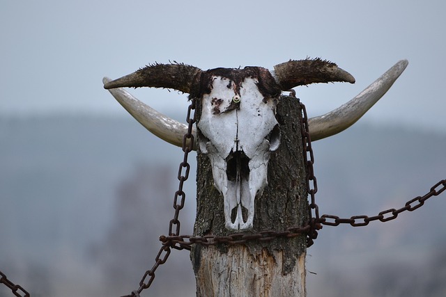 totem