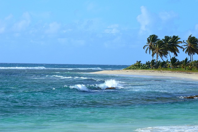 trade winds