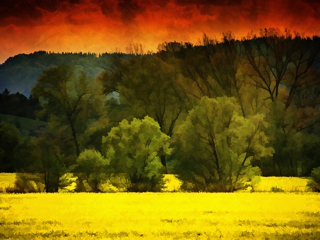 Hình ảnh minh họa ý nghĩa của từ trail