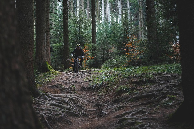 trail biking
