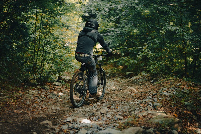 trail riding