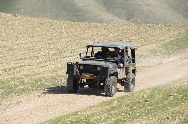 Hình ảnh minh họa ý nghĩa của từ trailblazer