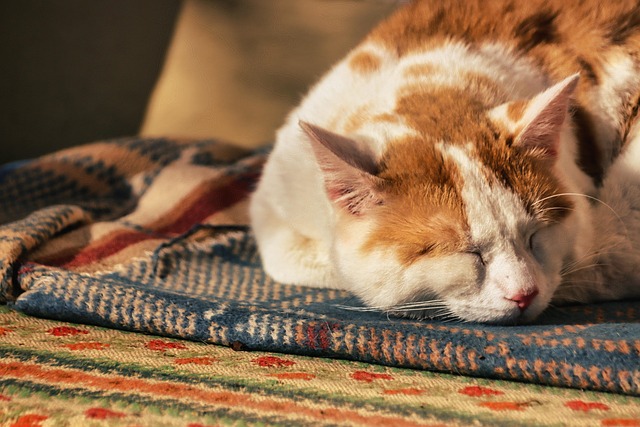 tranquil sleep