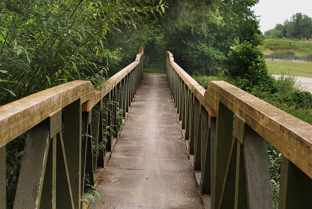 Hình ảnh minh họa ý nghĩa của từ transition metal