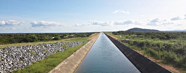 Hình ảnh minh họa ý nghĩa của từ transposition