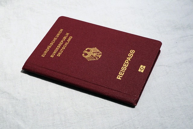 Hình ảnh minh họa ý nghĩa của từ travel document
