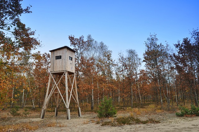Hình ảnh minh họa ý nghĩa của từ traversed