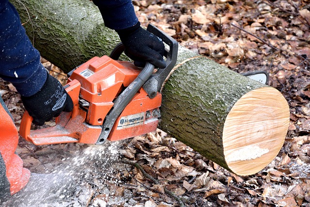 tree cutting
