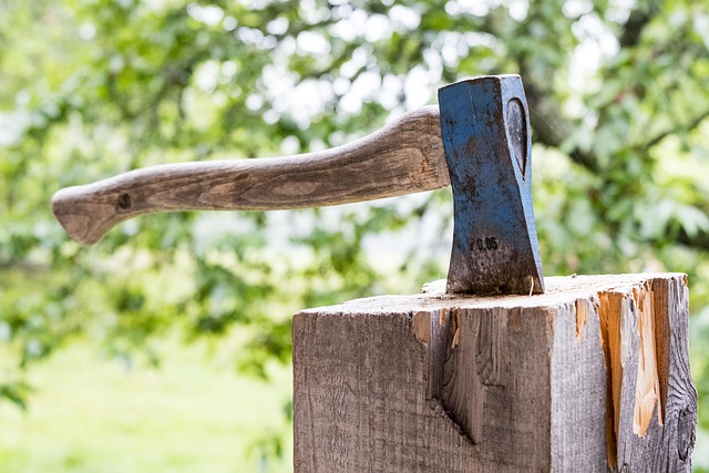 tree felling