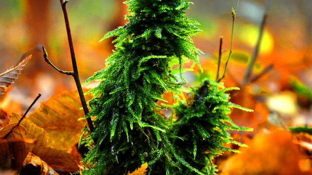 Hình ảnh minh họa ý nghĩa của từ tremor activity