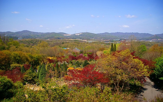 Hình ảnh minh họa ý nghĩa của từ trillions