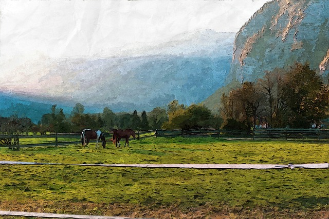 Hình ảnh minh họa ý nghĩa của từ trip