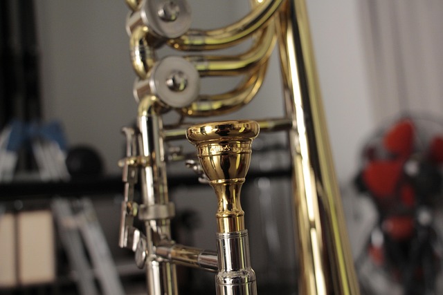 Hình ảnh minh họa ý nghĩa của từ trombone