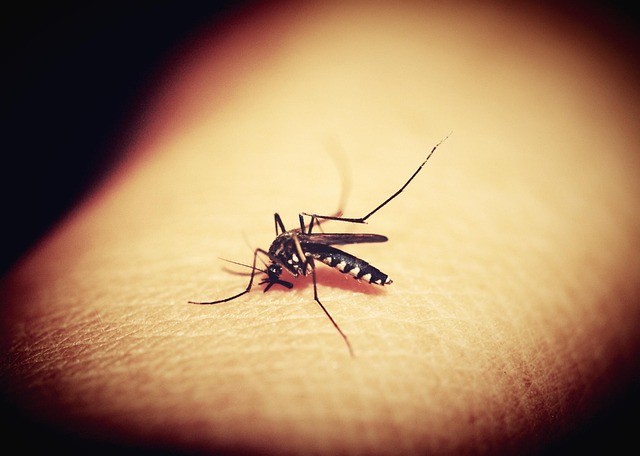 tropical disease