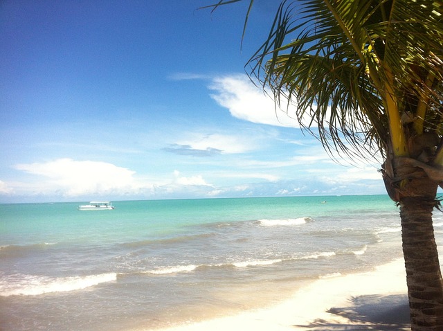 tropical zones