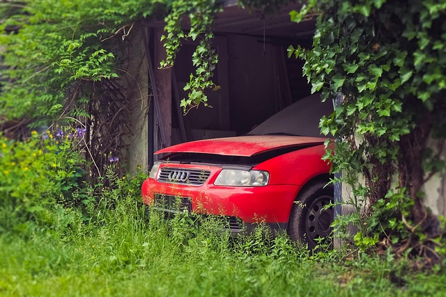 Hình minh họa blijken