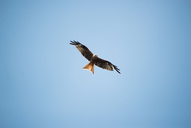 Hình ảnh minh họa ý nghĩa của từ twitching