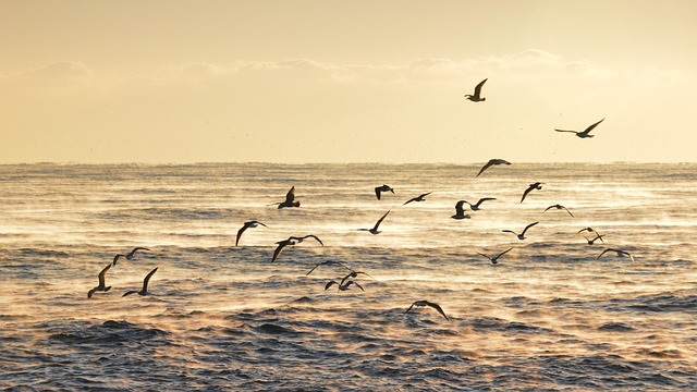 Hình ảnh minh họa ý nghĩa của từ type i error