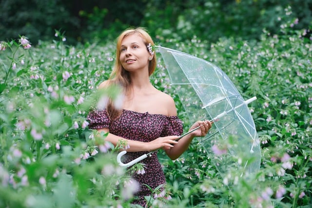 Hình ảnh minh họa ý nghĩa của từ umbrella