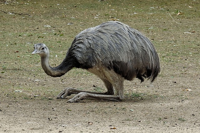 Hình ảnh minh họa ý nghĩa của từ unable