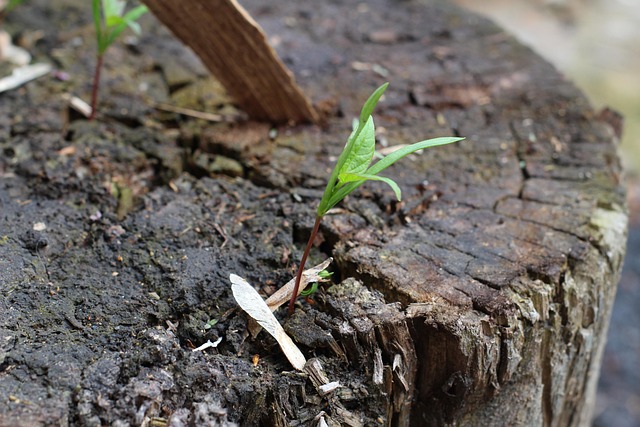 Hình ảnh minh họa ý nghĩa của từ unachievable