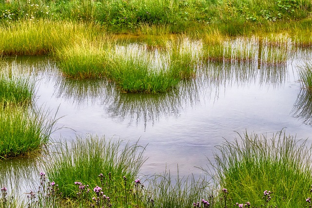 Hình ảnh minh họa ý nghĩa của từ unaffected by