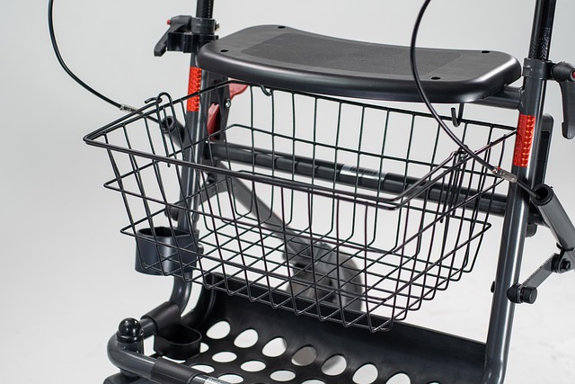 Hình ảnh minh họa ý nghĩa của từ unassisted mobility