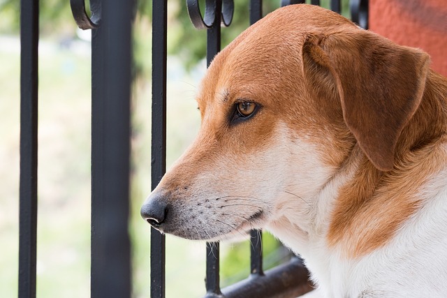 Hình ảnh minh họa ý nghĩa của từ unconditioned