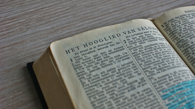 Hình ảnh minh họa ý nghĩa của từ underline