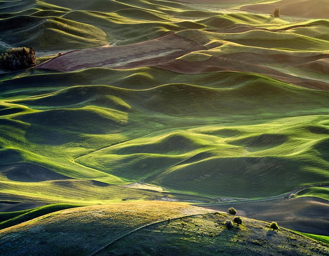 Hình ảnh minh họa ý nghĩa của từ undulating hills