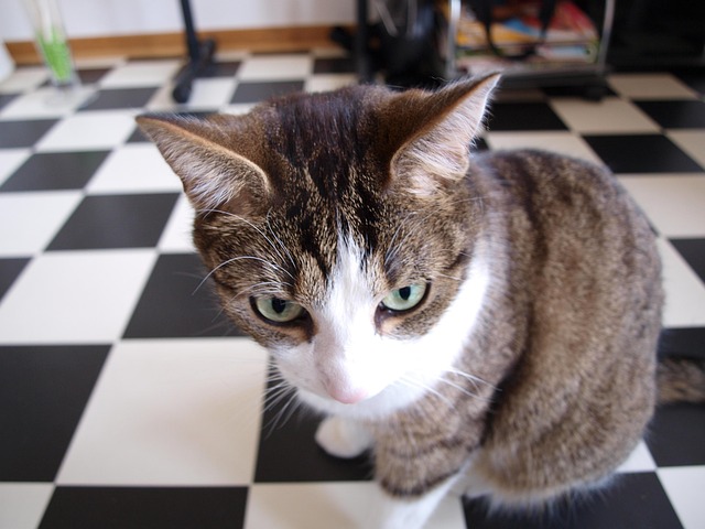 Hình ảnh minh họa ý nghĩa của từ unfair